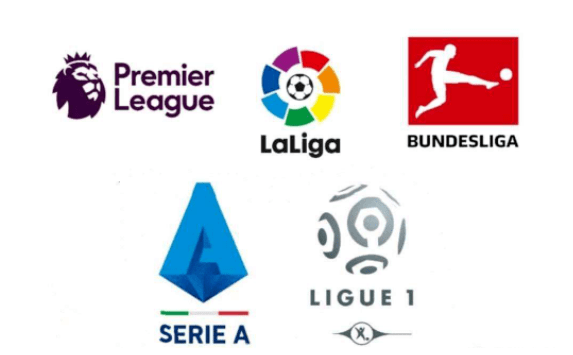 智与尊重 智与尊重